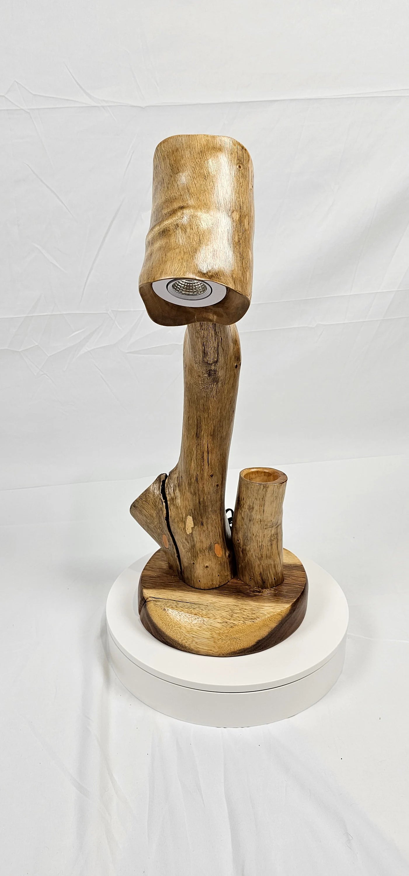 Cedar Root Lamp