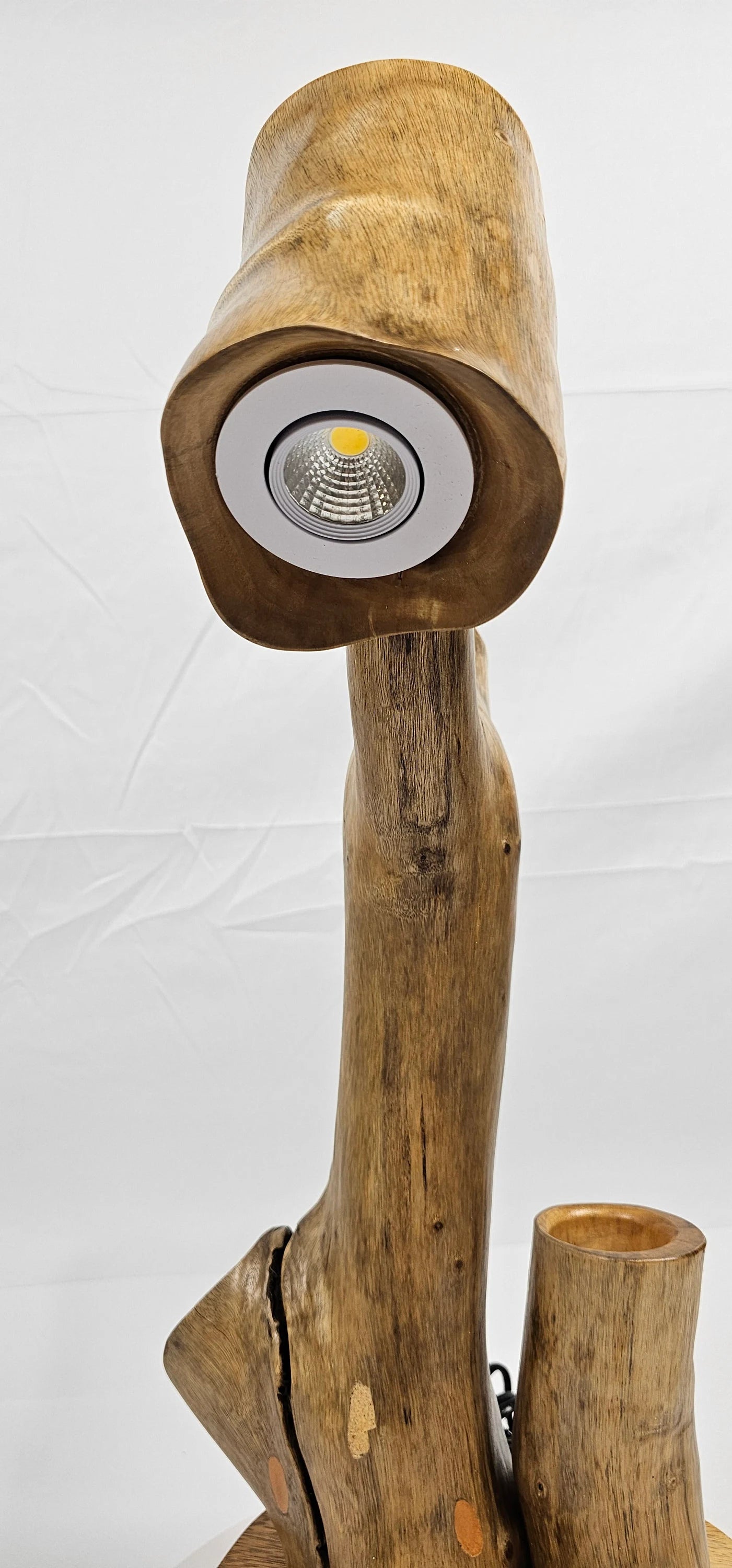 Cedar Root Lamp