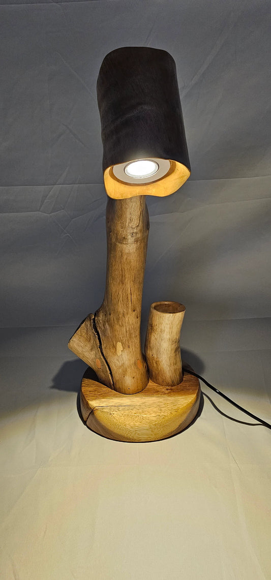 Cedar Root Lamp